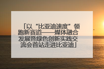 以“比亚迪速度”领跑新赛道——媒体融合发展暨绿色创新实践交流会首站走进比亚迪