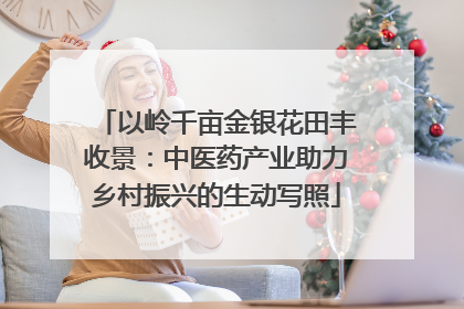 以岭千亩金银花田丰收景：中医药产业助力乡村振兴的生动写照