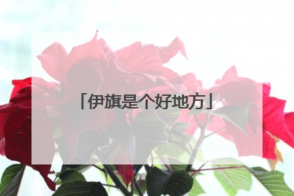 伊旗是个好地方