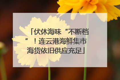 伏休海味“不断档”！连云港海鲜集市海货依旧供应充足