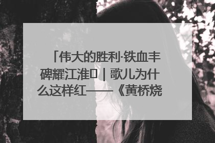 伟大的胜利·铁血丰碑耀江淮⑫｜歌儿为什么这样红——《黄桥烧饼歌》诞生记