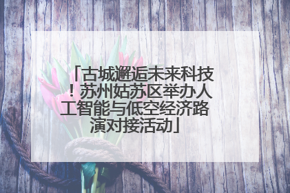 古城邂逅未来科技！苏州姑苏区举办人工智能与低空经济路演对接活动