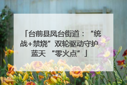 台前县凤台街道：“统战+禁烧”双轮驱动守护蓝天 “零火点”