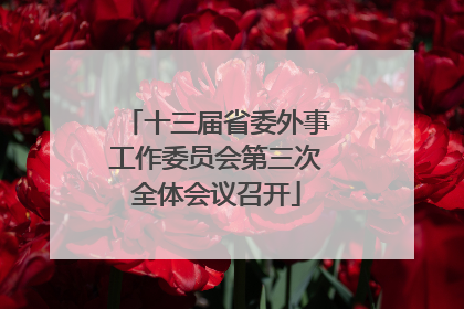 十三届省委外事工作委员会第三次全体会议召开