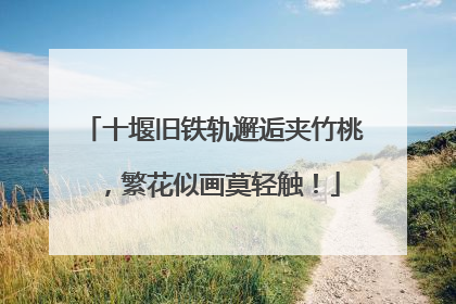 十堰旧铁轨邂逅夹竹桃，繁花似画莫轻触！