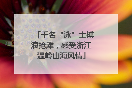 千名“泳”士搏浪抢滩，感受浙江温岭山海风情