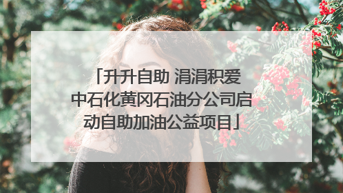 升升自助 涓涓积爱 中石化黄冈石油分公司启动自助加油公益项目