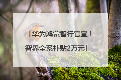 华为鸿蒙智行官宣！智界全系补贴2万元