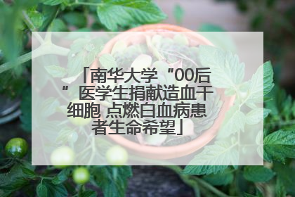 南华大学“00后”医学生捐献造血干细胞 点燃白血病患者生命希望