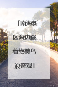 南海新区海边藏着绝美鸟浪奇观