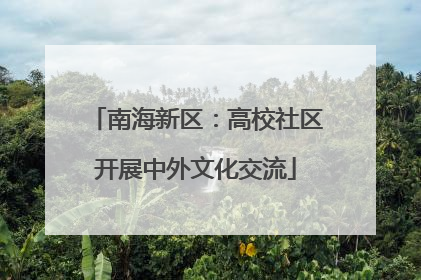南海新区：高校社区开展中外文化交流