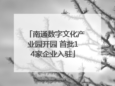 南通数字文化产业园开园 首批14家企业入驻