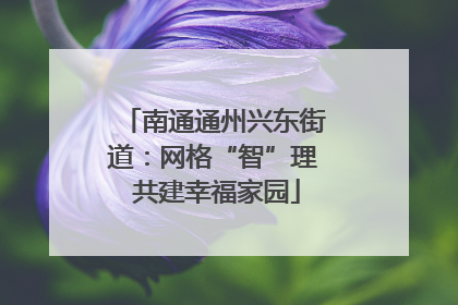 南通通州兴东街道：网格“智”理 共建幸福家园