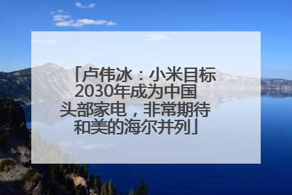 卢伟冰：小米目标2030年成为中国头部家电，非常期待和美的海尔并列