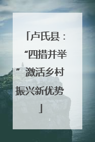 卢氏县：“四措并举”激活乡村振兴新优势