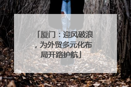 厦门：迎风破浪，为外贸多元化布局开路护航