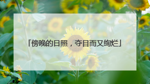 傍晚的日照，夺目而又绚烂