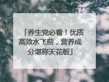养生党必看！优质高效水飞蓟，营养成分堪称天花板