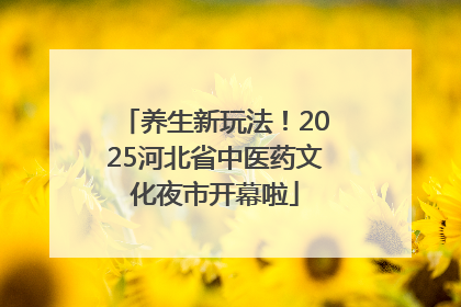 养生新玩法！2025河北省中医药文化夜市开幕啦