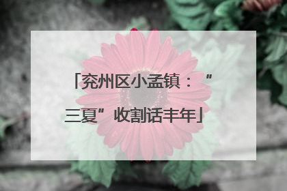 兖州区小孟镇：“三夏”收割话丰年