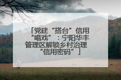 党建“搭台”信用“唱戏”：宁阳华丰管理区解锁乡村治理“信用密码”