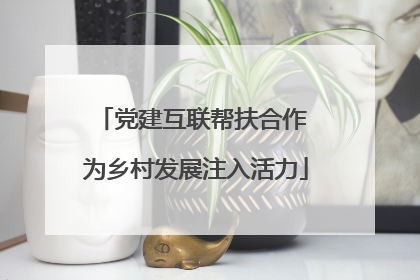 党建互联帮扶合作 为乡村发展注入活力
