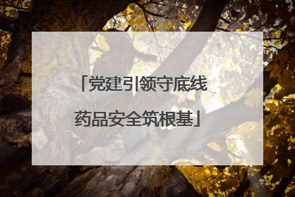 党建引领守底线 药品安全筑根基