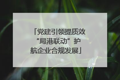 党建引领提质效 “局港联动”护航企业合规发展