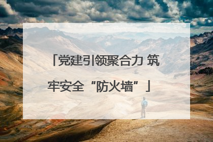 党建引领聚合力 筑牢安全“防火墙”