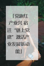 党旗红 产业兴 宿迁“链上党建”激活产业发展新动能