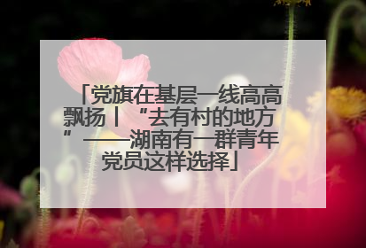 党旗在基层一线高高飘扬丨“去有村的地方”——湖南有一群青年党员这样选择