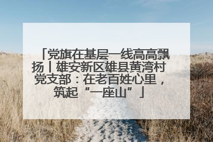 党旗在基层一线高高飘扬丨雄安新区雄县黄湾村党支部：在老百姓心里，筑起“一座山”