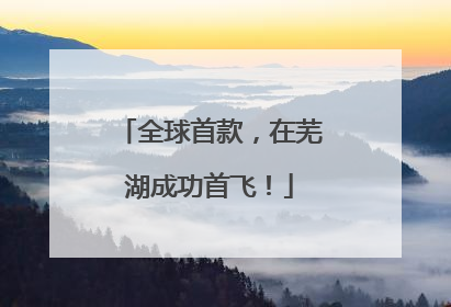 全球首款，在芜湖成功首飞！