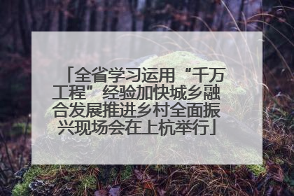 全省学习运用“千万工程”经验加快城乡融合发展推进乡村全面振兴现场会在上杭举行