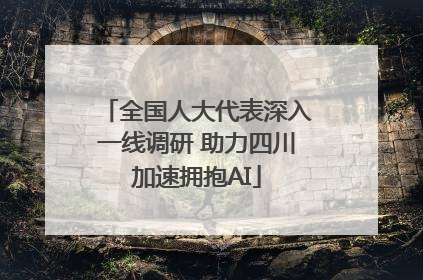 全国人大代表深入一线调研 助力四川加速拥抱AI