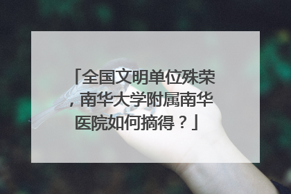全国文明单位殊荣，南华大学附属南华医院如何摘得？