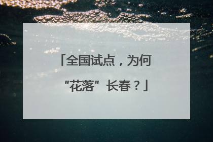 全国试点，为何“花落”长春？