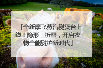 全新摩飞蒸汽熨烫台上线！隐形三折叠，开启衣物全能熨护新时代