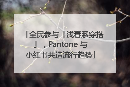 全民参与「浅春系穿搭」，Pantone 与小红书共造流行趋势