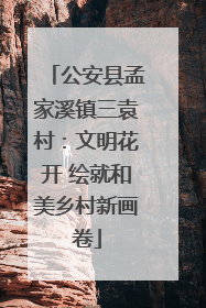公安县孟家溪镇三袁村：文明花开 绘就和美乡村新画卷