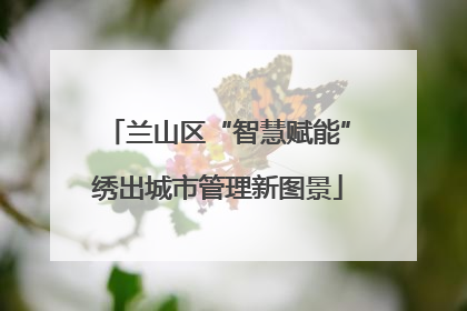 兰山区“智慧赋能”绣出城市管理新图景