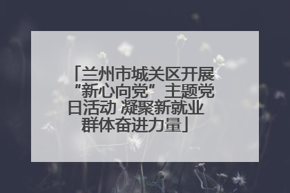 兰州市城关区开展“新心向党”主题党日活动 凝聚新就业群体奋进力量