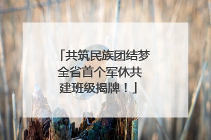 共筑民族团结梦 全省首个军休共建班级揭牌！