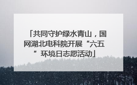 共同守护绿水青山，国网湖北电科院开展“六五”环境日志愿活动