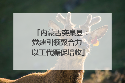 内蒙古突泉县：党建引领聚合力 以工代赈促增收