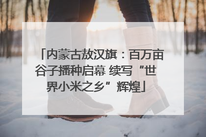 内蒙古敖汉旗：百万亩谷子播种启幕 续写“世界小米之乡”辉煌