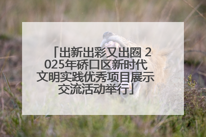 出新出彩又出圈 2025年硚口区新时代文明实践优秀项目展示交流活动举行