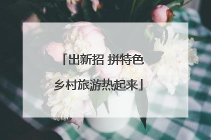 出新招 拼特色 乡村旅游热起来