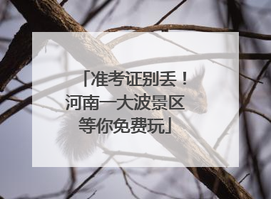 准考证别丢！河南一大波景区等你免费玩