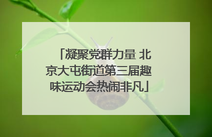 凝聚党群力量 北京大屯街道第三届趣味运动会热闹非凡